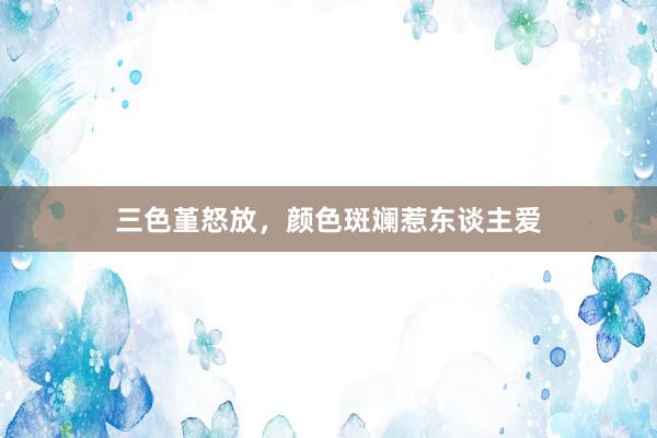 三色堇怒放，颜色斑斓惹东谈主爱
