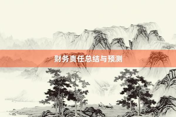 财务责任总结与预测
